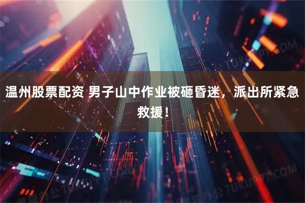 温州股票配资 男子山中作业被砸昏迷，派出所紧急救援！