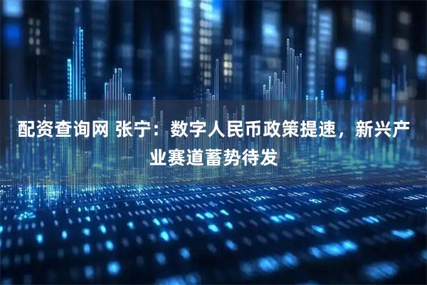 配资查询网 张宁：数字人民币政策提速，新兴产业赛道蓄势待发