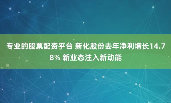 专业的股票配资平台 新化股份去年净利增长14.78% 新业态注入新动能